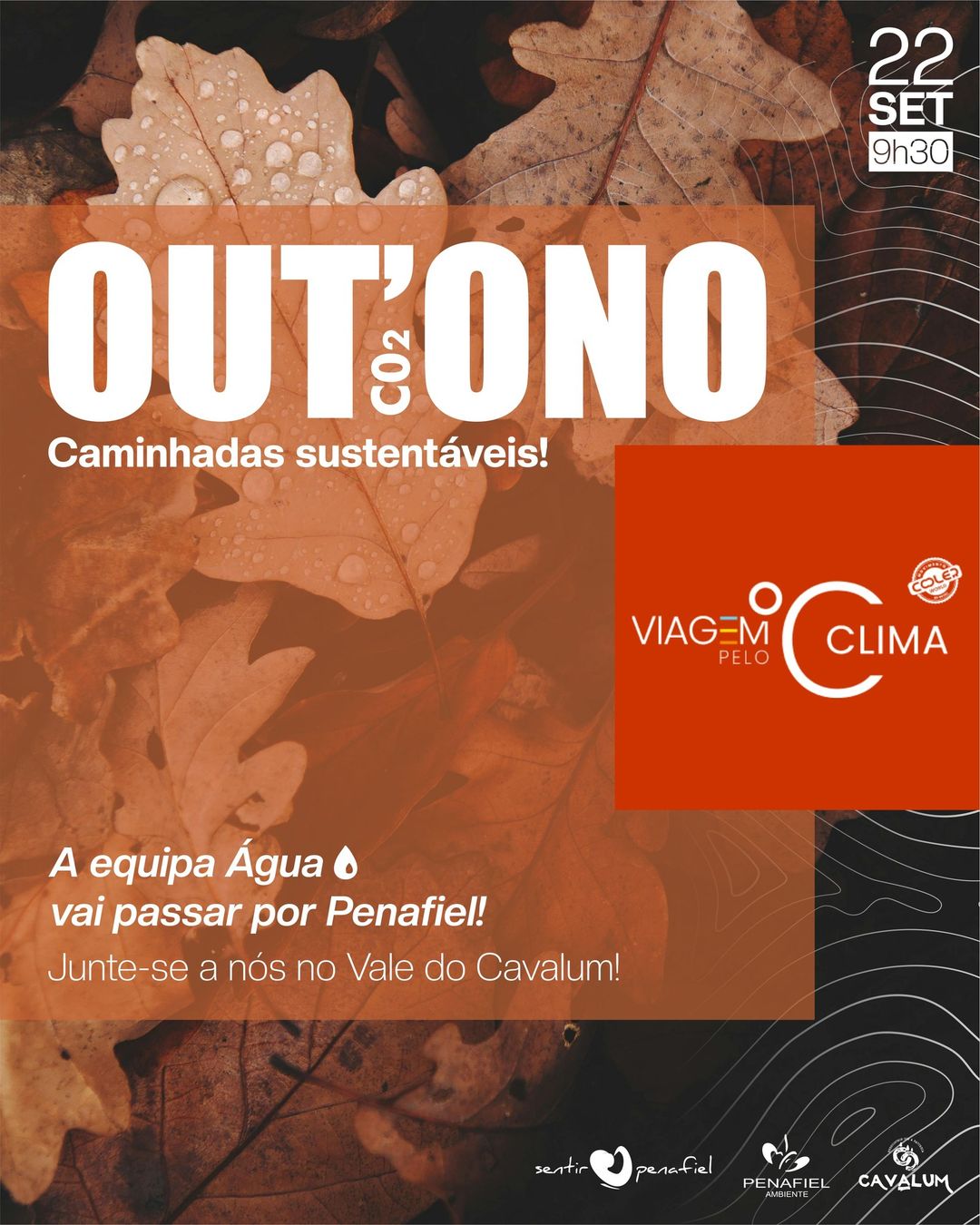 Caminhadas Sustentáveis: Explore a Natureza e Promova a Sustentabilidade com Atividades ao Ar Livre